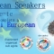 Simularea Parlamentului European - Young European Speakers